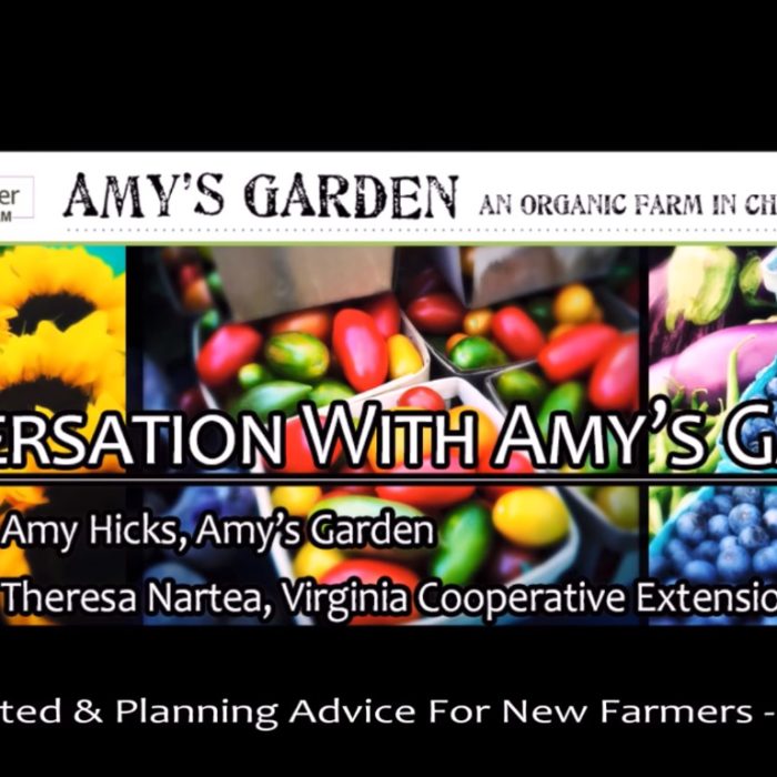 Amy’s Garden