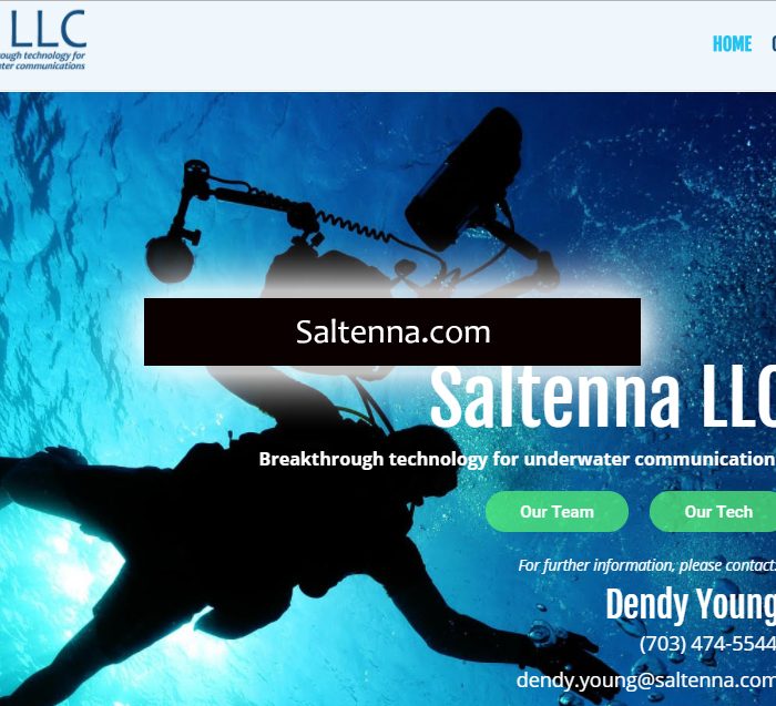 Saltenna.com